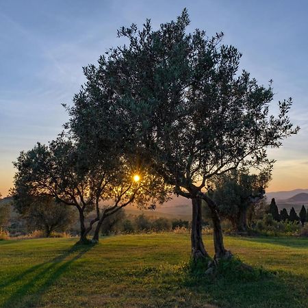 فيلا La Marrana - Castello Del Terriccio كاستيلينا ماريتيما المظهر الخارجي الصورة